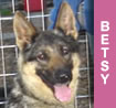 Betsy