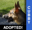Cubby