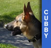 Cubby
