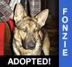 Fonzie