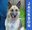 Jackson