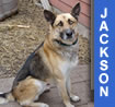 Jackson