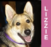 Lizzie