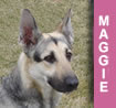 Maggie