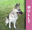 Molly