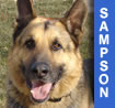 Sampson