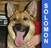 Solomon