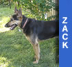 Zack