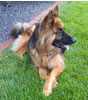 Kaiser